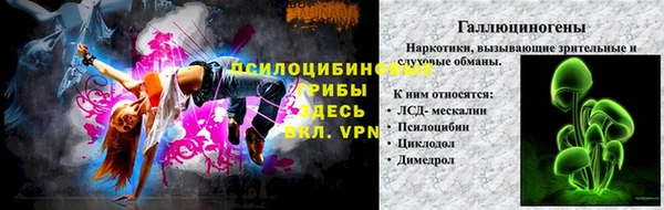 амф Алексин